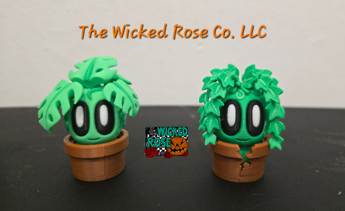 3D Printed Plant Buddies