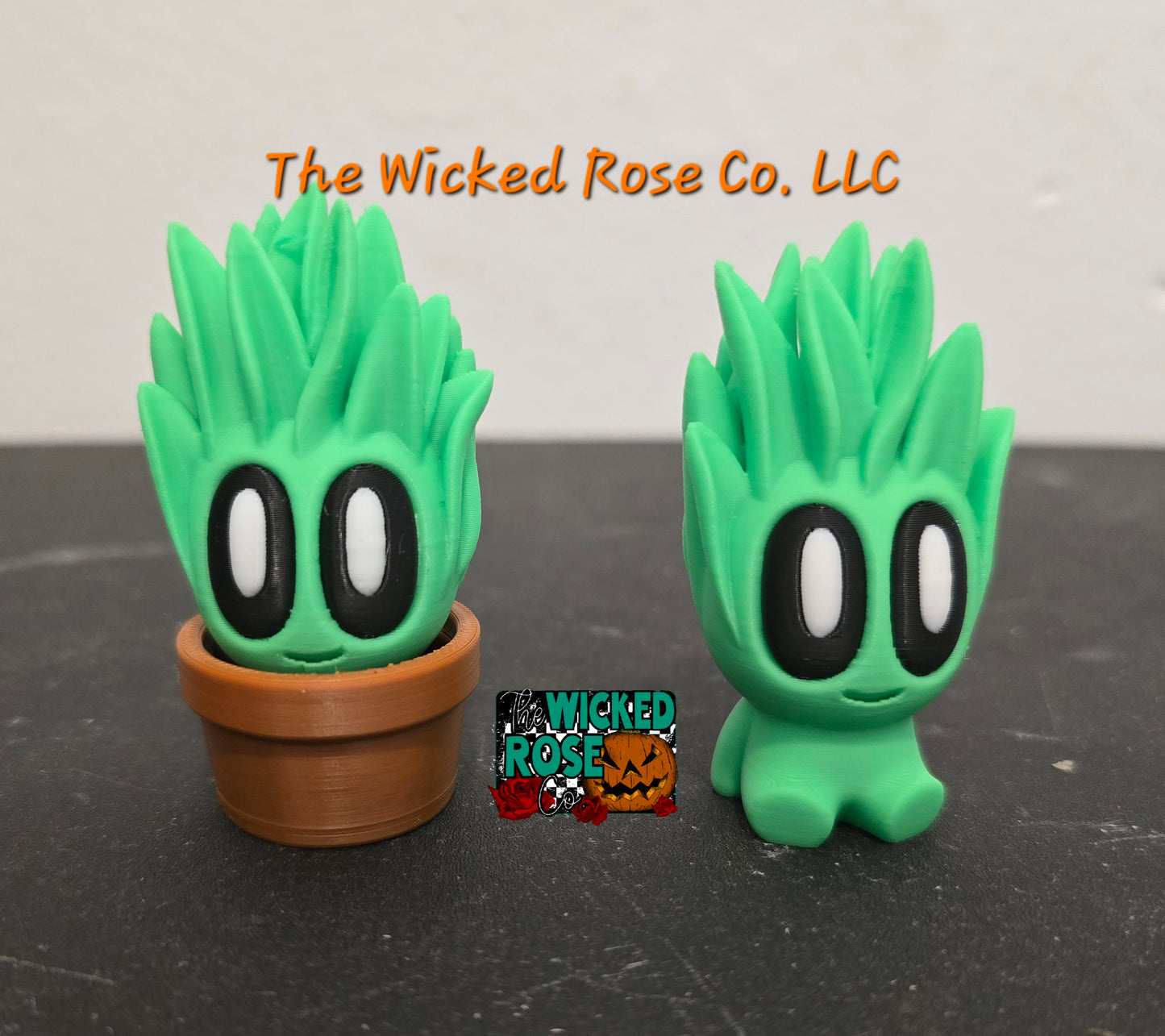 3D Printed Plant Buddies
