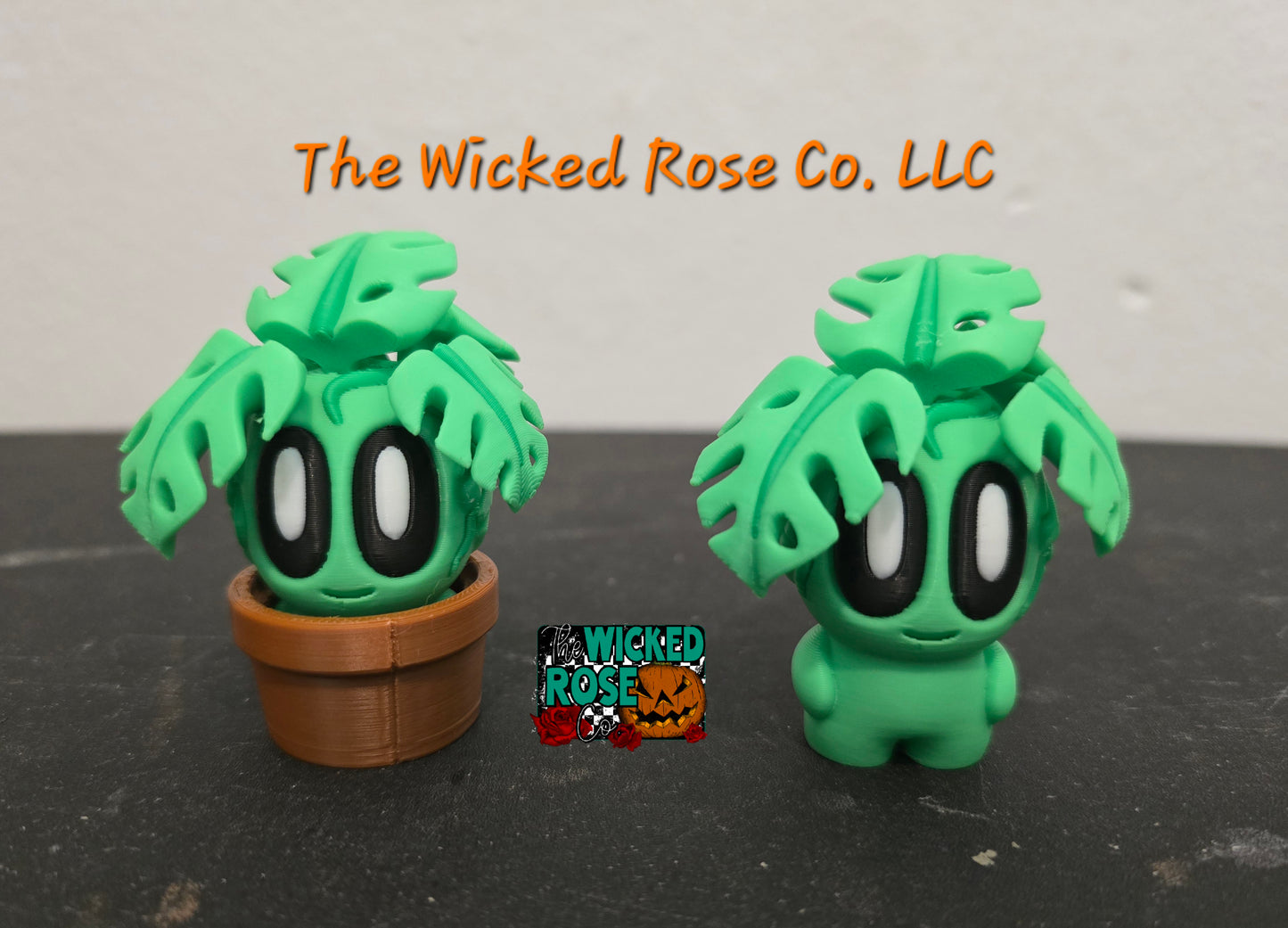 3D Printed Plant Buddies