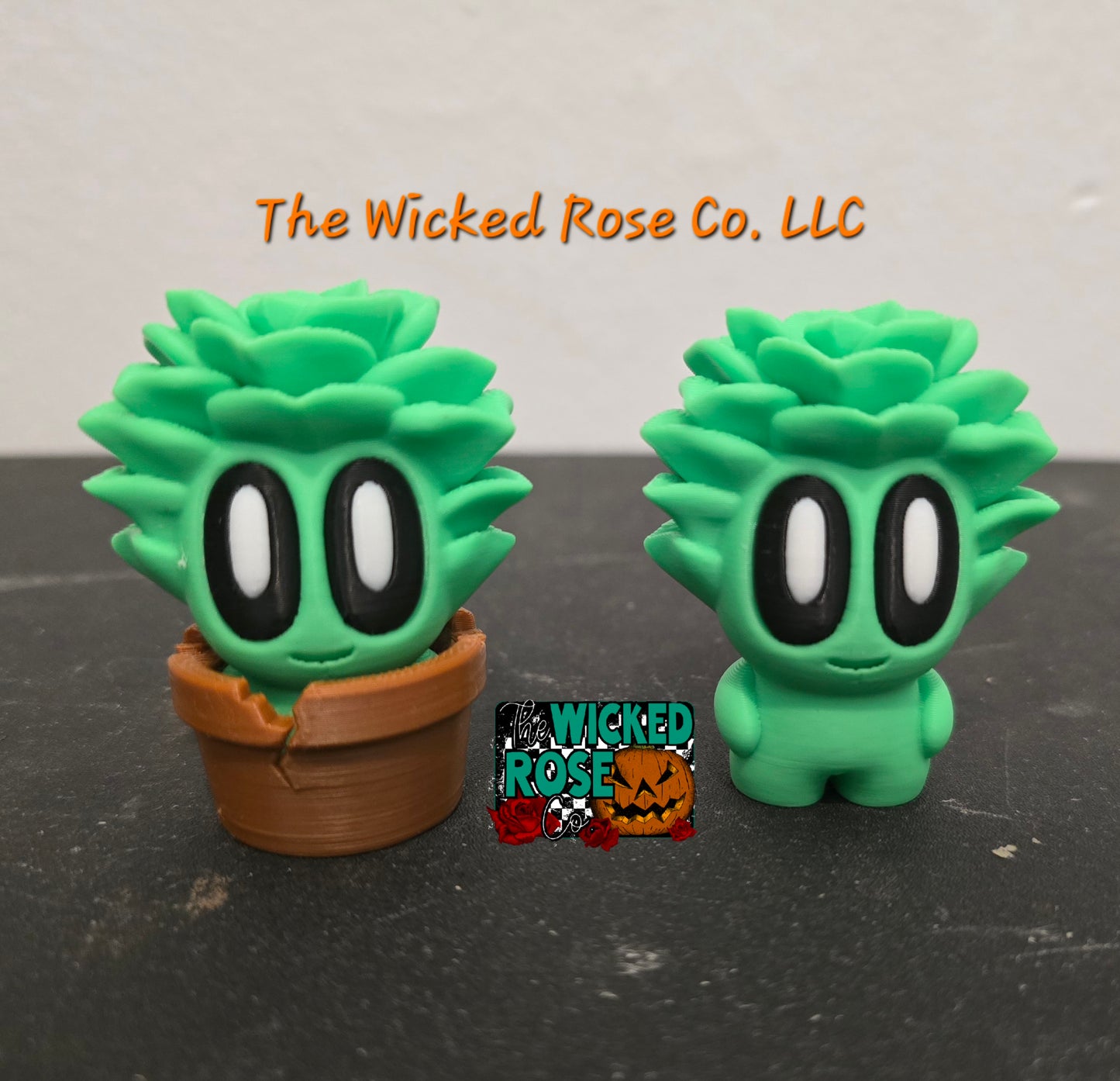 3D Printed Plant Buddies