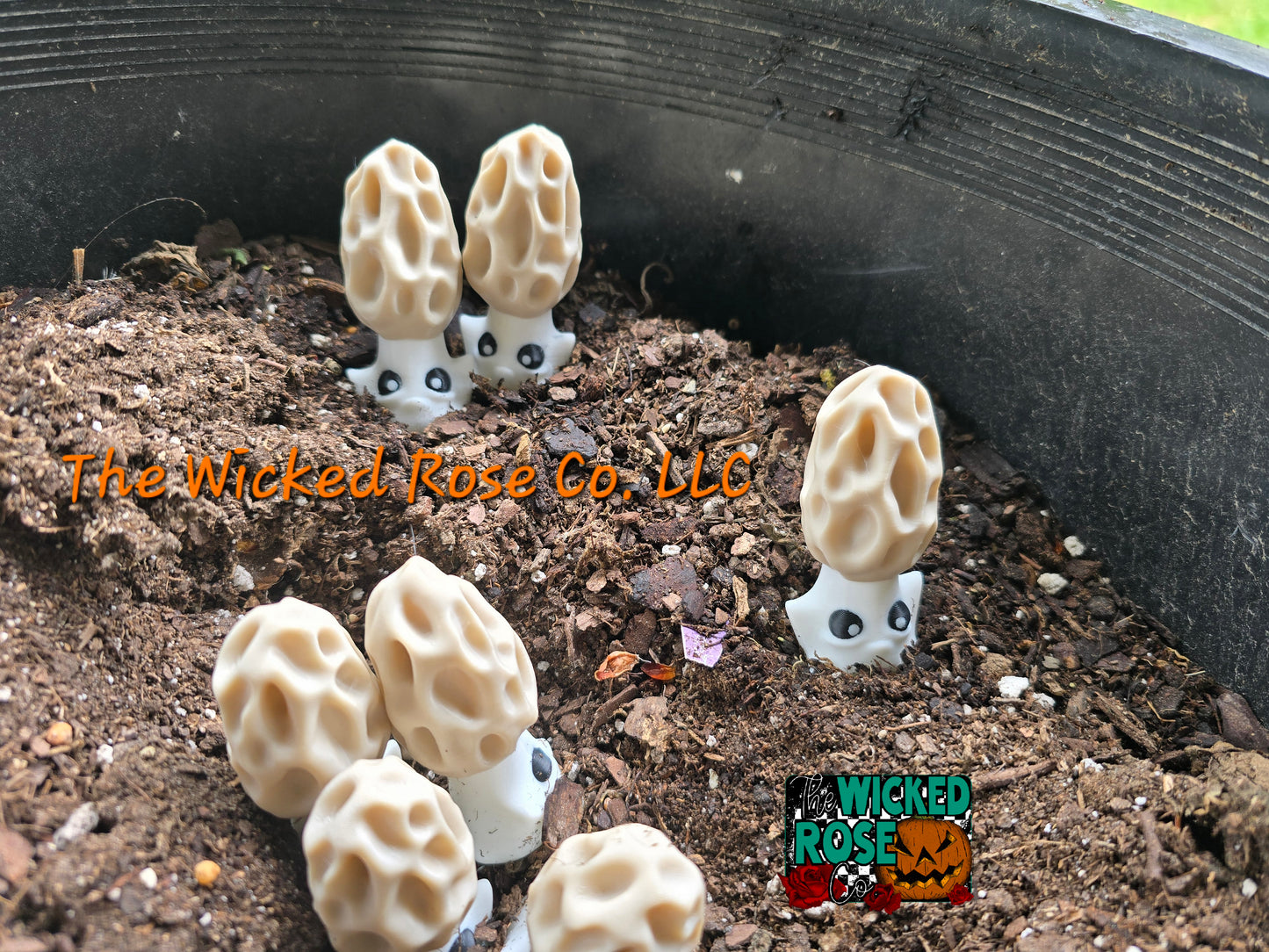 3D Printed Morel Mushroom Buddies