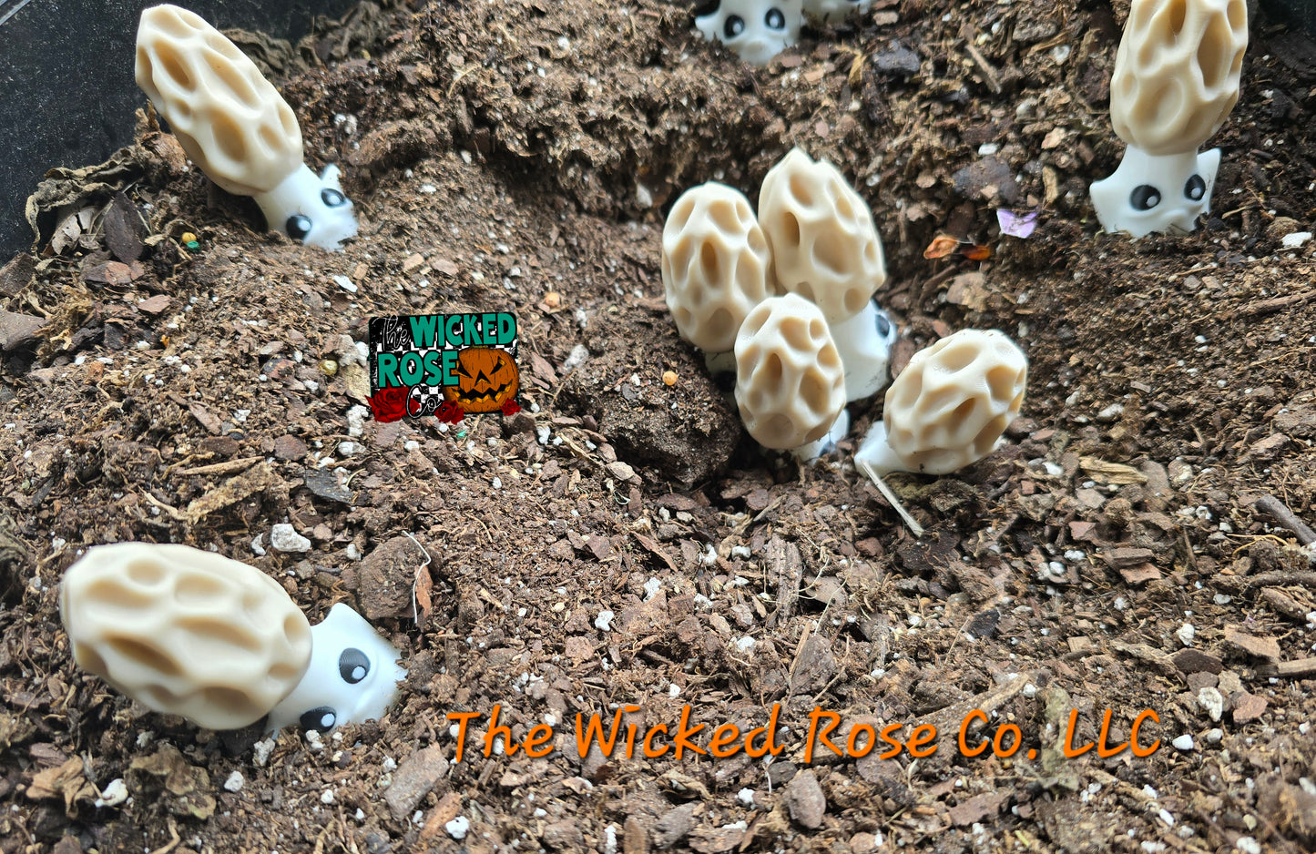 3D Printed Morel Mushroom Buddies