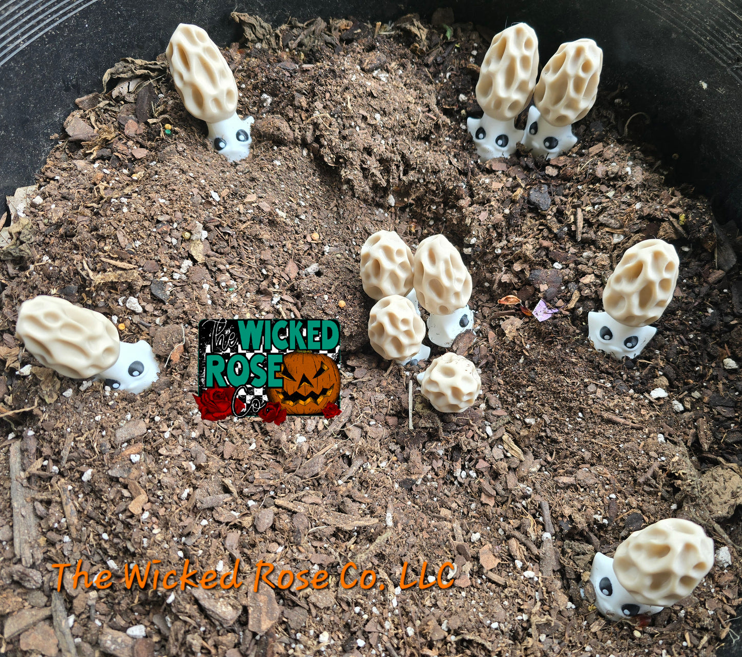 3D Printed Morel Mushroom Buddies