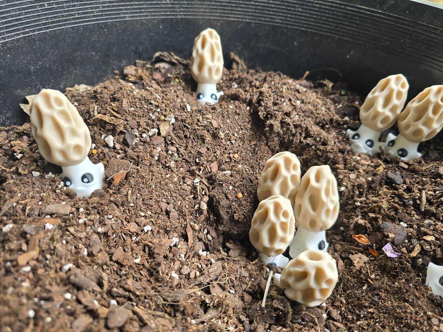 3D Printed Morel Mushroom Buddies