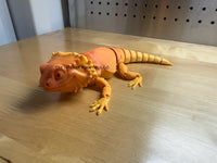 3D Printed Articulated Bearded Dragon