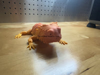 3D Printed Articulated Bearded Dragon