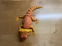 3D Printed Articulated Bearded Dragon