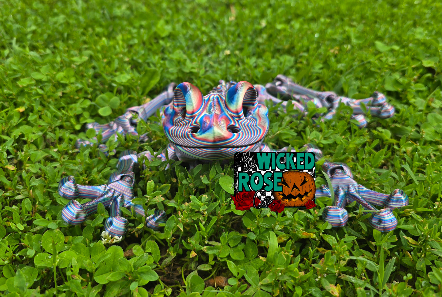 3D Printed, Articulated, Large Skeleton Frog