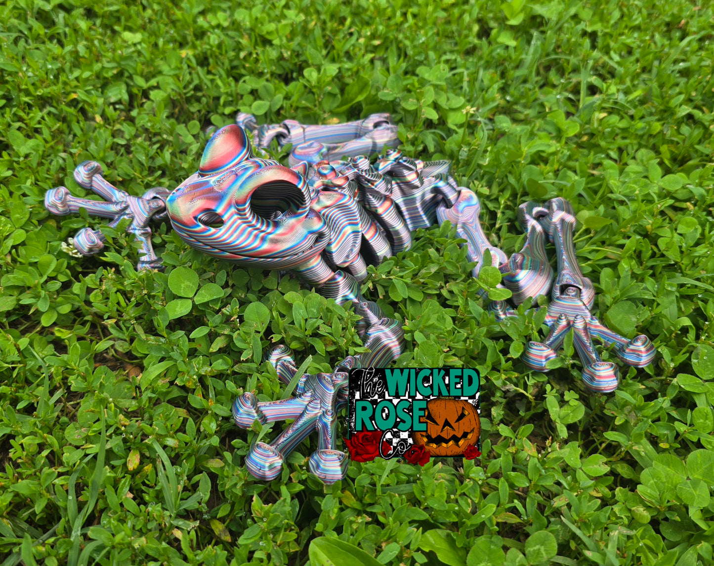 3D Printed, Articulated, Large Skeleton Frog