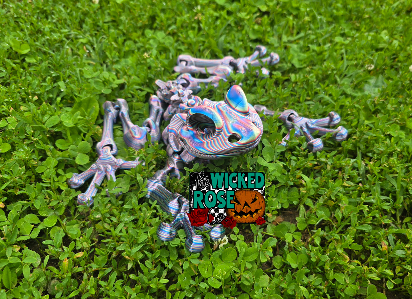 3D Printed, Articulated, Large Skeleton Frog